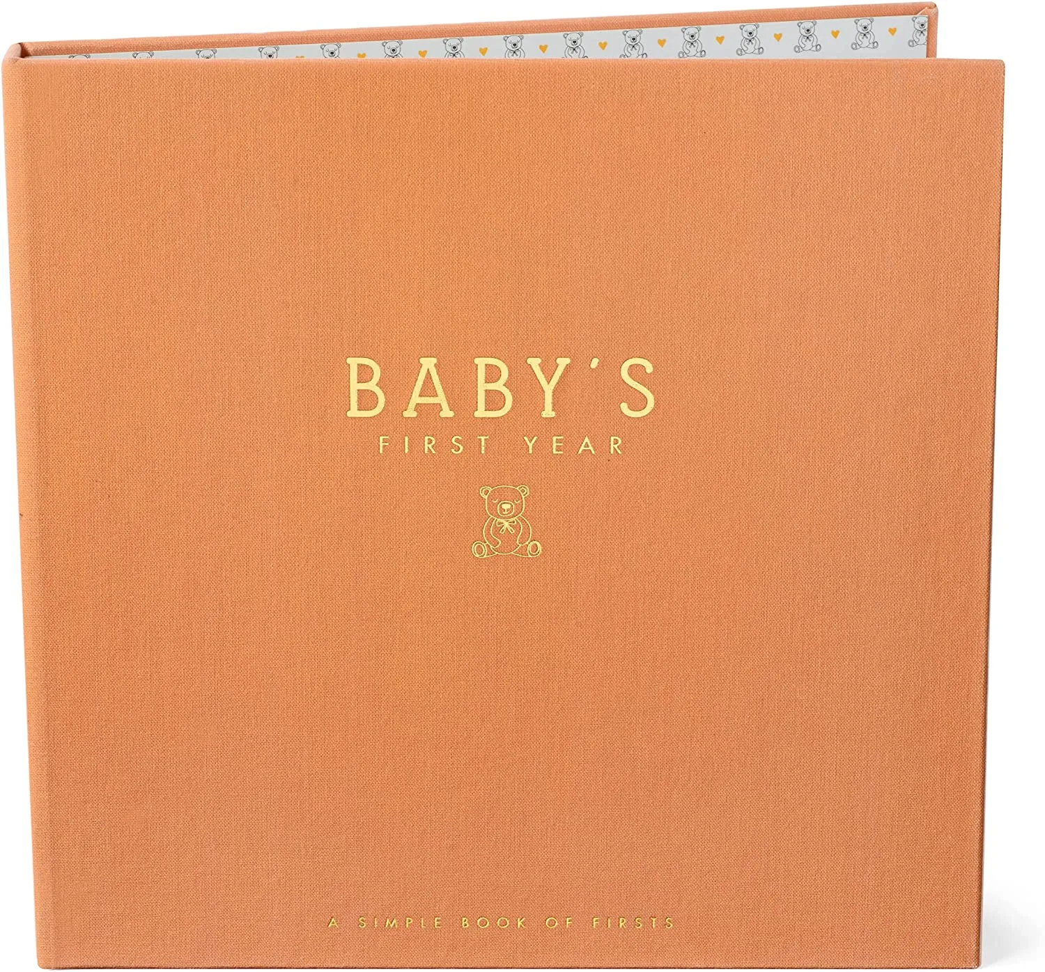 Baby's First Year Luxury Memory Book