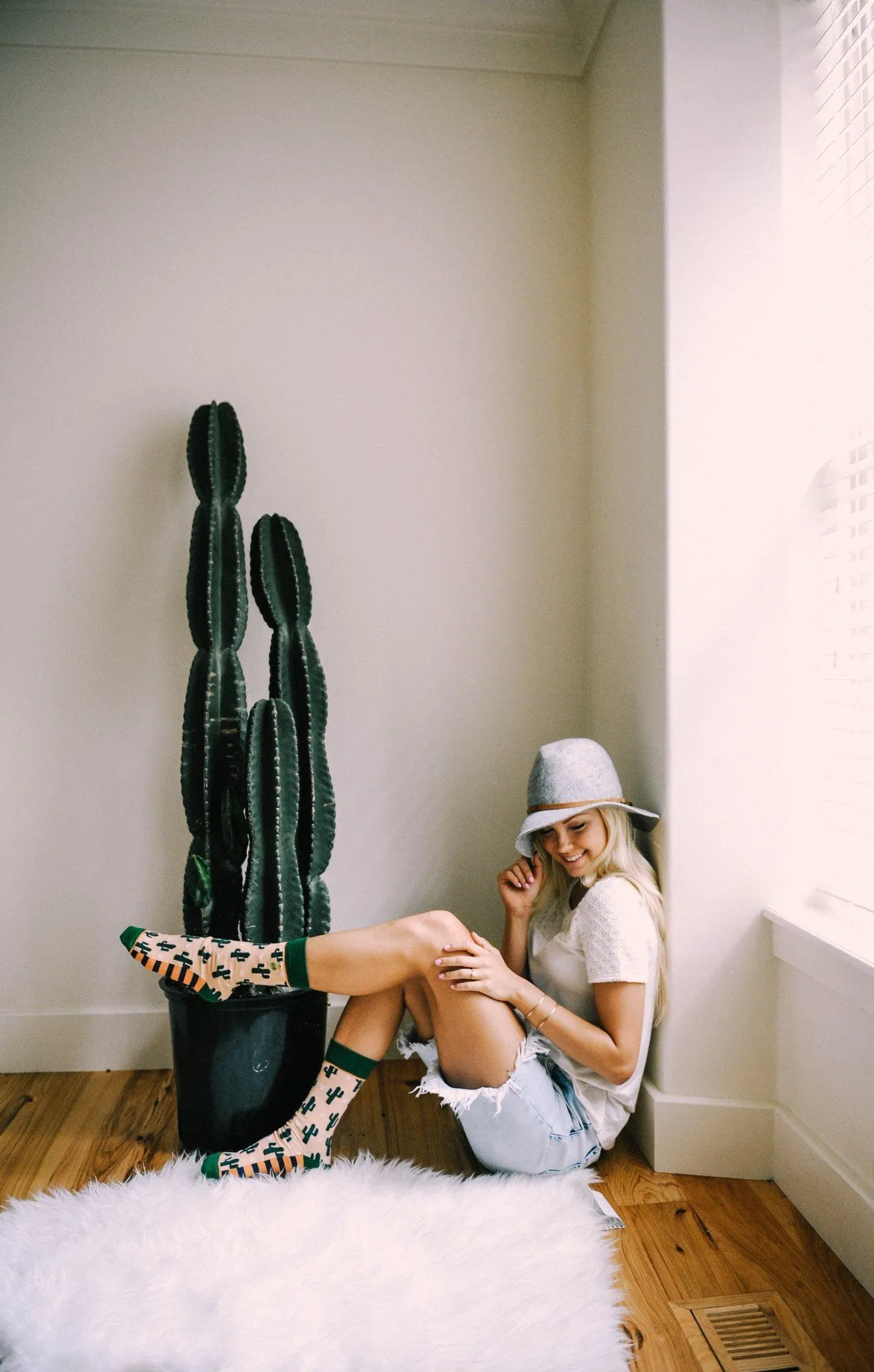 Cacti