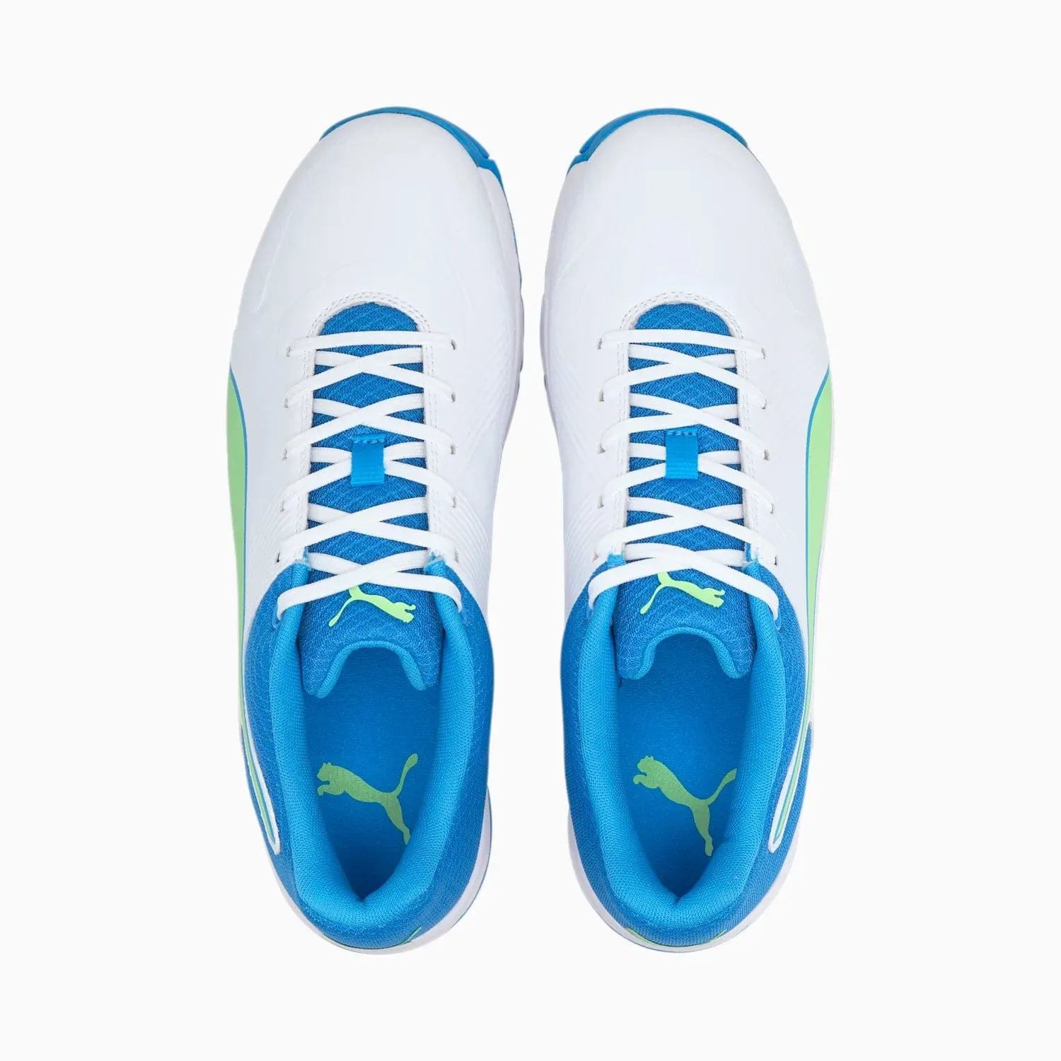 Puma 19.2 Spike Cricket Shoes