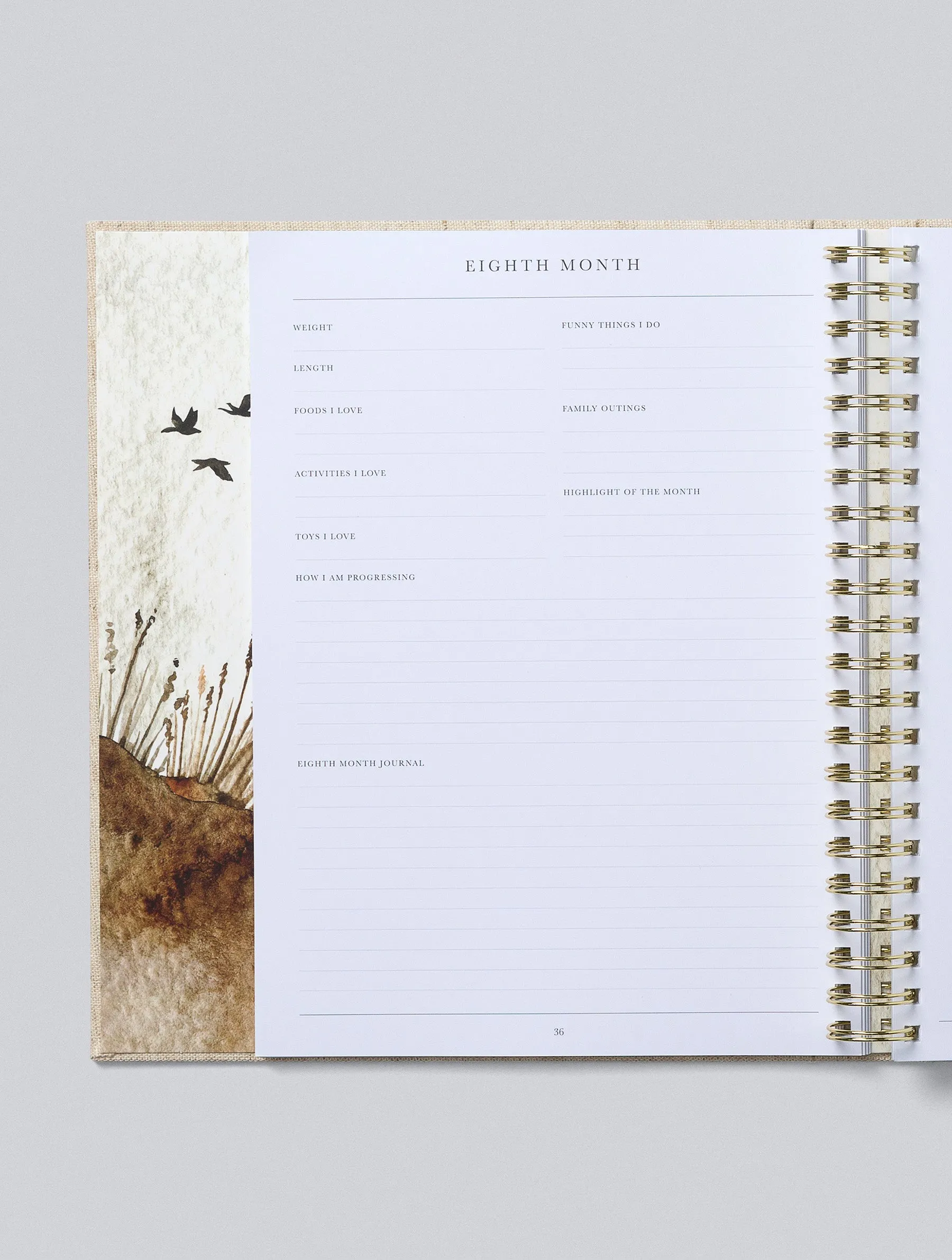 Write To Me - Baby Journal First Five Years - Oatmeal (Boxed)
